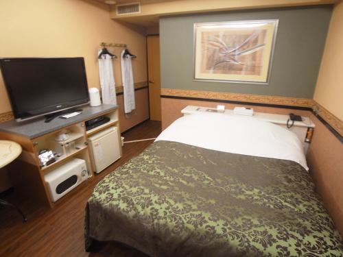 TV a/nebo společenská místnost v ubytování Hotel Mju-Adult Only