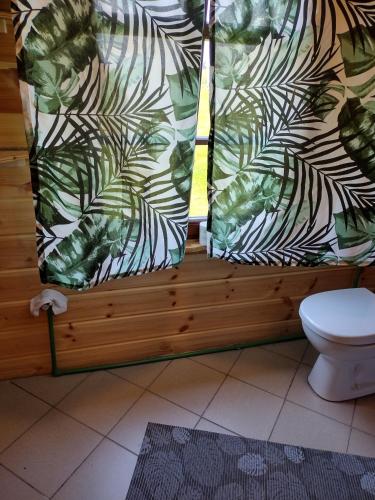 a bathroom with a toilet and a window at Gabel&Jurgen in Mirsk