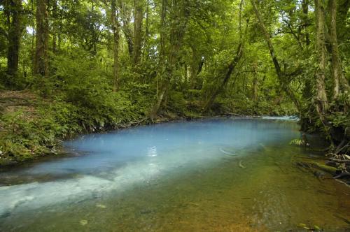 a river in a forest with blue water and trees at Hotel Catarata Río Celeste in Bijagua