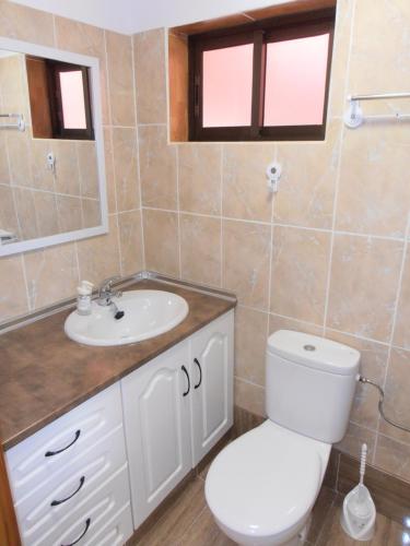 ein Badezimmer mit einem WC, einem Waschbecken und einem Spiegel in der Unterkunft Casa Isabel in Icod el Alto