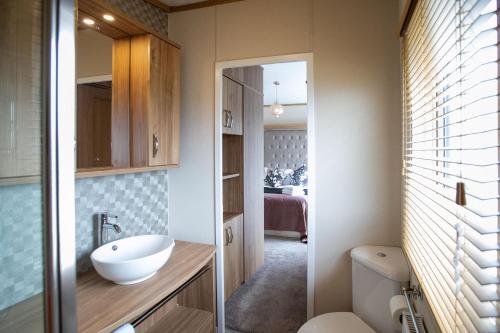 een badkamer met een wastafel en een toilet. bij Stewarts Resort Lodge 7 in St Andrews
