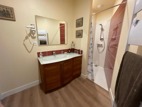 a bathroom with a sink and a shower at Gîte proche de Dieppe et bord de mer in Petit-Berneval