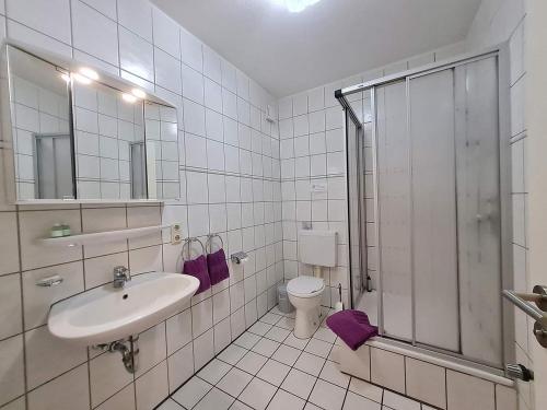 a bathroom with a toilet and a sink and a shower at Pension & Ferienhof Glüß in Lünzen