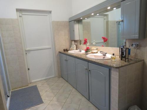 uma casa de banho com um lavatório, um espelho e um chuveiro em VILLA CANELLE em Trou-aux-Biches