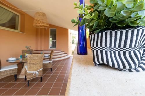 a large vase with a plant in a room at Villa Caterina in La Maddalena