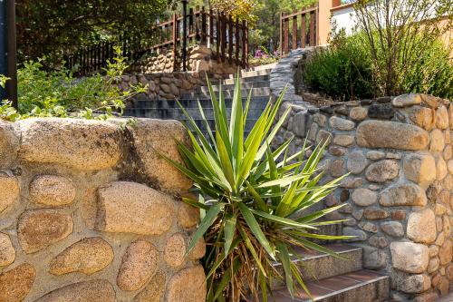 a plant sitting next to a stone wall at Villa Caterina in La Maddalena