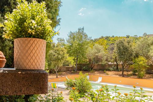 a flower pot sitting on a wall with a tennis court at Villa Caterina in La Maddalena