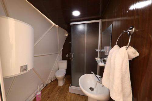 a small bathroom with a sink and a toilet at Elsesi Racha Glamping in Ambrolauri