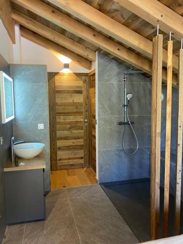 a bathroom with a shower and a sink at Chalet Neuf du Pape in Les Deux Alpes