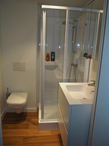 uma casa de banho com um chuveiro, um WC e um lavatório. em Gadering em Zele