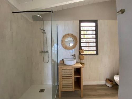 een badkamer met een wastafel en een douche bij Le Belvédère in Saint-Leu