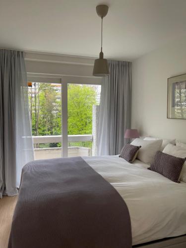 1 dormitorio con cama grande y ventana grande en Petit-Saconnex, Geneva en Ginebra