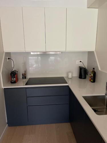 a kitchen with white cabinets and a sink at Petit-Saconnex, Geneva in Geneva