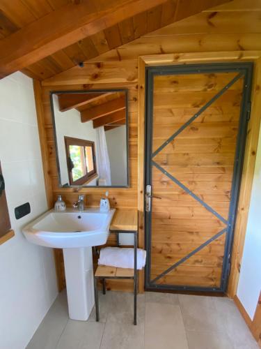 a bathroom with a sink and a wooden door at Farm SuLove in Langozaj