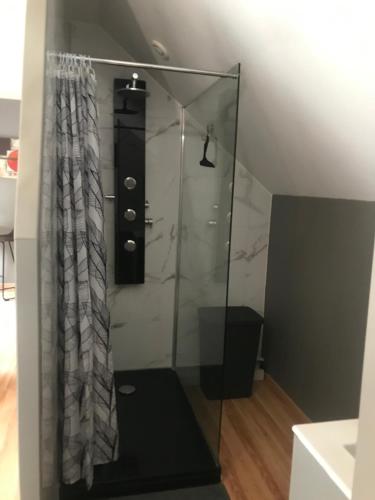 W łazience znajduje się prysznic ze szklanymi drzwiami. w obiekcie Chez Chris w mieście Oloron-Sainte-Marie