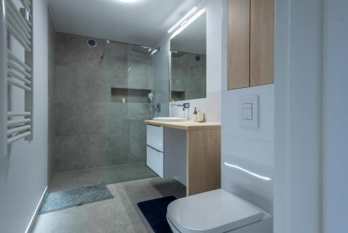a bathroom with a toilet and a sink and a shower at Apartament Widok in Piechowice