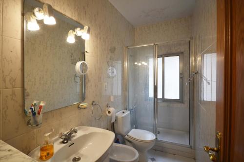 a bathroom with a sink and a toilet and a shower at La casa de El Burgo in El Burgo de Osma