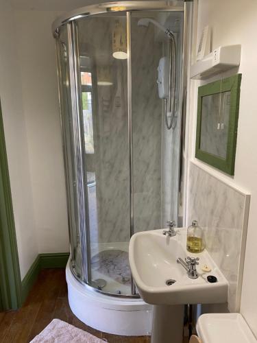 een badkamer met een douche en een wastafel bij Stable Cottage, Bishops Castle in Bishops Castle