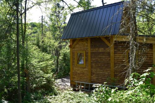 a cabin in the woods with a blue roof at Bois Rond Expérience in Saguenay