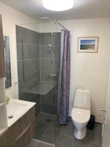 a bathroom with a shower and a toilet and a sink at Pakhuset Anholt in Anholt