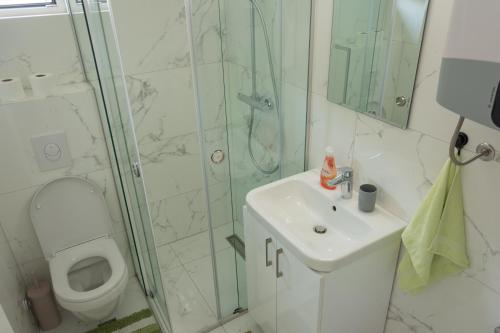 ein Bad mit einem WC, einem Waschbecken und einer Dusche in der Unterkunft Apartments Milica in Becici