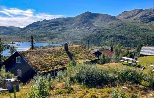 a house with grass on its roof with mountains in the background at Nice Home In Rjukan With Wifi in Rjukan