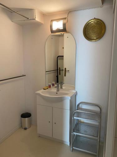 uma casa de banho com um lavatório e um espelho em Petit paradis em Vic-Fezensac