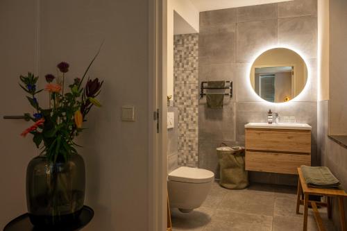 uma casa de banho com um WC, um lavatório e um espelho. em Hof van Hool em Nuenen