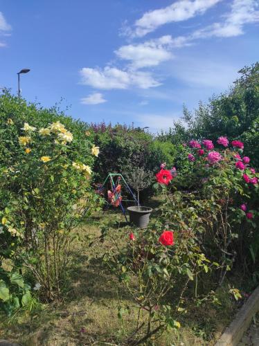 a garden with pink and yellow flowers in the grass at Maison cosy & épurée avec jardin et wifi - Orly Rungis in Orly