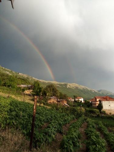a rainbow in the sky over a field of crops at Guest House Stevovski in Ohrid