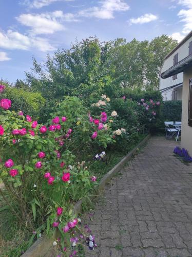 a garden with pink flowers in a yard at Maison cosy & épurée avec jardin et wifi - Orly Rungis in Orly