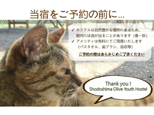 a picture of a cat with a thought bubble at Shodoshima Olive Youth Hostel in Shodoshima