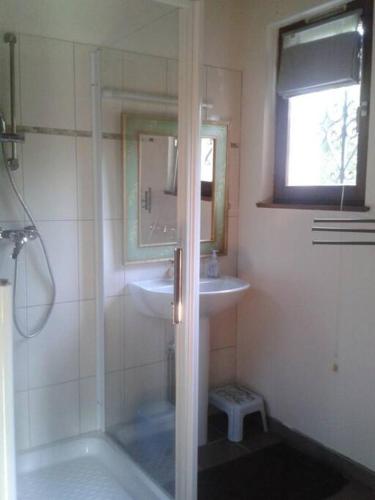 une salle de bain avec une douche, un lavabo et un miroir dans l'établissement Gîte de la P'tite Rainette, à Grosne