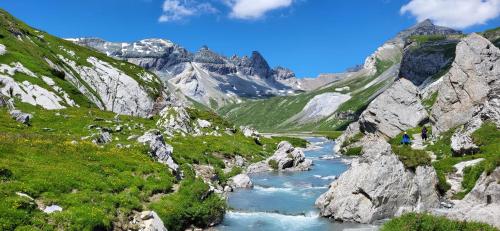 a river in a valley with mountains in the background at Ferienwohnung Stenna Allegra in Flims