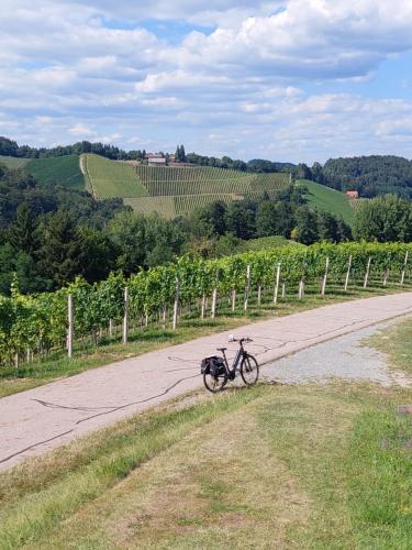 a bike parked on the side of a road at Anna's Home - Ferienwohnungen in Ratsch an der Weinstraße