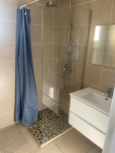 ein Bad mit einer Dusche und einem Waschbecken in der Unterkunft Studio magnifique in La Charité-sur-Loire