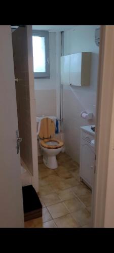 une petite salle de bain avec toilettes et lavabo dans l'établissement Studio meublé Viane, à Viane