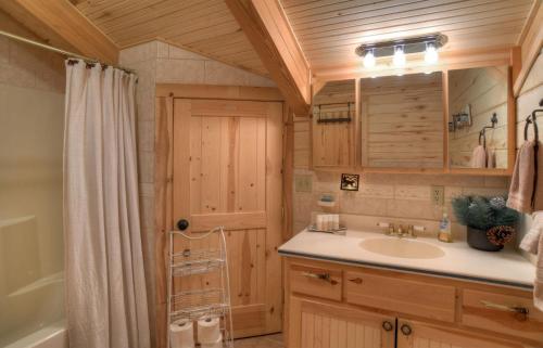 サウス・フォークにあるRustic A Cabinの洗面台、浴槽、シャワーを備えたバスルーム