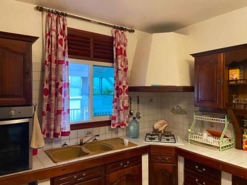 a kitchen with a sink and a window at Appartement de 2 chambres avec terrasse amenagee et wifi a Petit Canal a 8 km de la plage in Petit-Canal