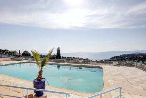- une grande piscine entourée d'un palmier dans l'établissement Duplex vue mer avec piscine à Boulouris, à Drammont