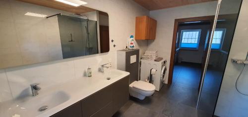 W łazience znajduje się umywalka, toaleta i prysznic. w obiekcie Ferienwohnung Brader w Hallstatt