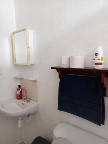 La salle de bains est pourvue de toilettes et d'un lavabo avec une serviette bleue. dans l'établissement Casa Amplia a 5 Min del Centro en Zona Cerrada, à Tehuacán