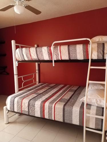 Ce lit se trouve dans un dortoir doté de 2 lits superposés et d'un mur rouge. dans l'établissement Casa Amplia a 5 Min del Centro en Zona Cerrada, à Tehuacán