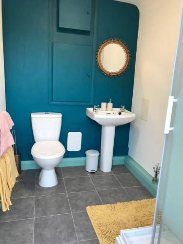 a bathroom with a toilet and a sink at Poplar Lodge, Dee Valley Stays - cosy microlodge with detached private shower & WC in Corwen