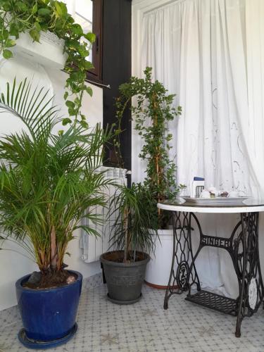 a table with two potted plants next to a window at B&B Lido Liberty in Lido di Ostia