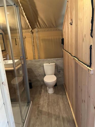 a small bathroom with a toilet and a sink at le Moulin de Cost in Buis-les-Baronnies