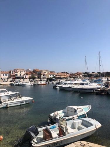 un groupe de bateaux amarrés dans un port dans l'établissement Superbe Studio tout confort Carro - Côte Bleue, à Martigues