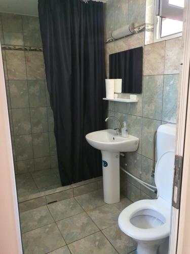 a bathroom with a sink and a toilet and a shower at Pensiunea Nina in 2 Mai