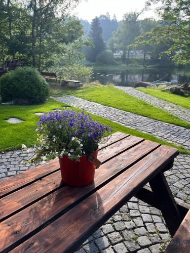 a pot of flowers sitting on a wooden picnic table at Penzion Koucký in Bedřichov