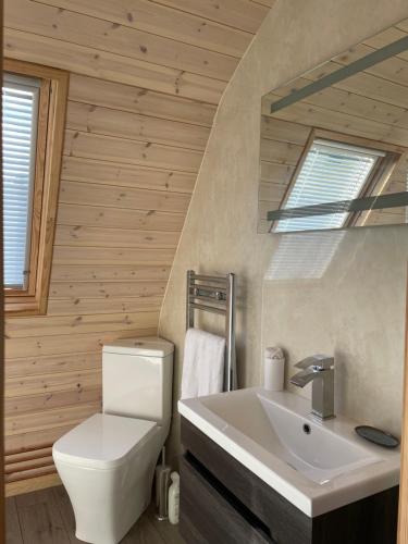 a bathroom with a white toilet and a sink at Squirrel Glamping Pod School House Farm in Leighton